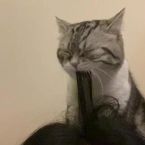 女学生按摩AV姦奷
