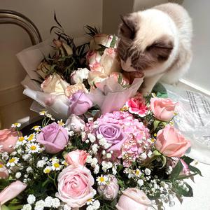 女学生按摩AV姦奷
